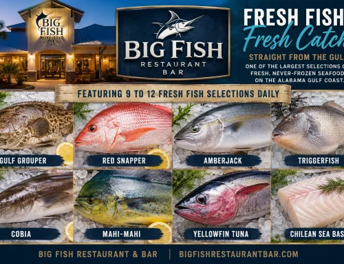 What Fish Is in Season Right Now on the Alabama Gulf Coast?